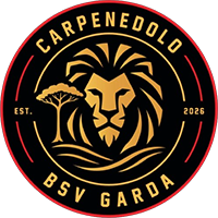 Logo Carpenedolo BSV Garda