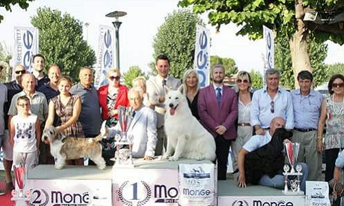 Grande successo per la 7°esposizione canina di fermo a Montegiorgio