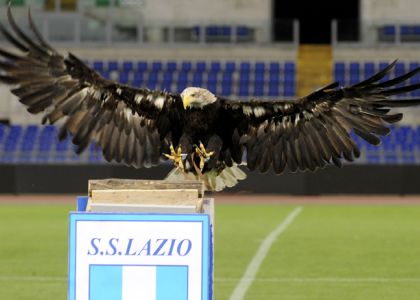 Lazio, la fuga dell'aquila Olympia