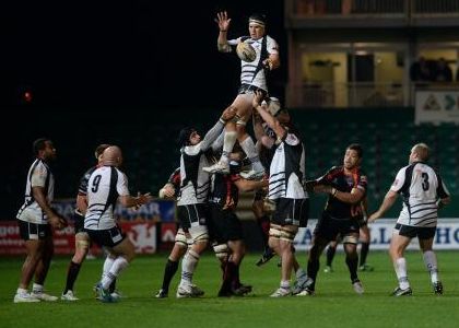 Heineken Cup: Zebre travolte a Tolosa