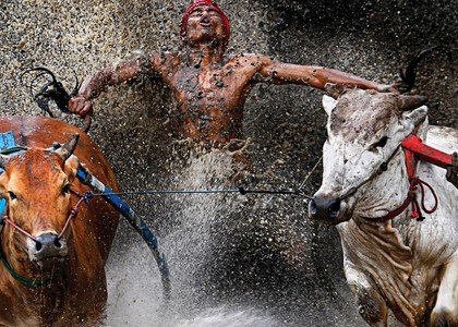 Sport: ecco le immagini più belle del 2012