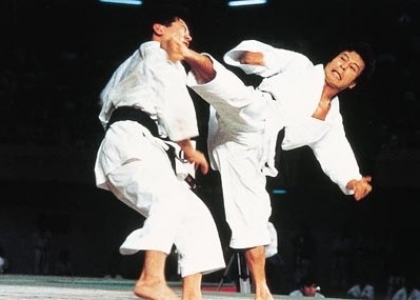 Libri di sport: L'arte dell'Hojo undo