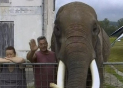 Tour 2014: a Bergerac c'è pure l'elefante