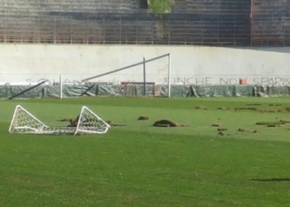 Vandali a Varese, stadio Ossola distrutto