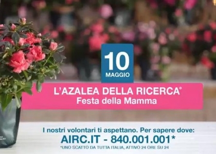 Festa della mamma: torna l'azalea della ricerca. Video